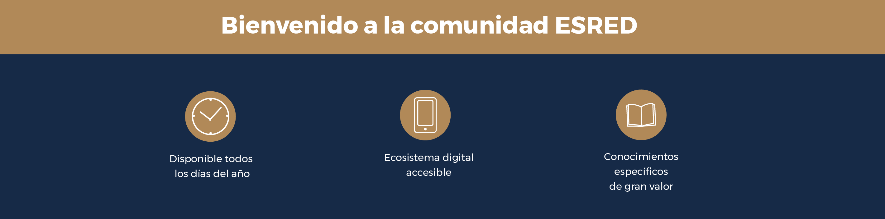 Servicios esred